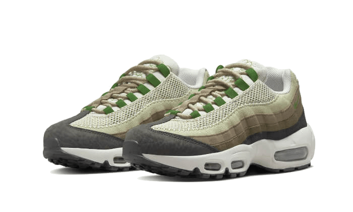 Nike Air Max 95 Earth Day