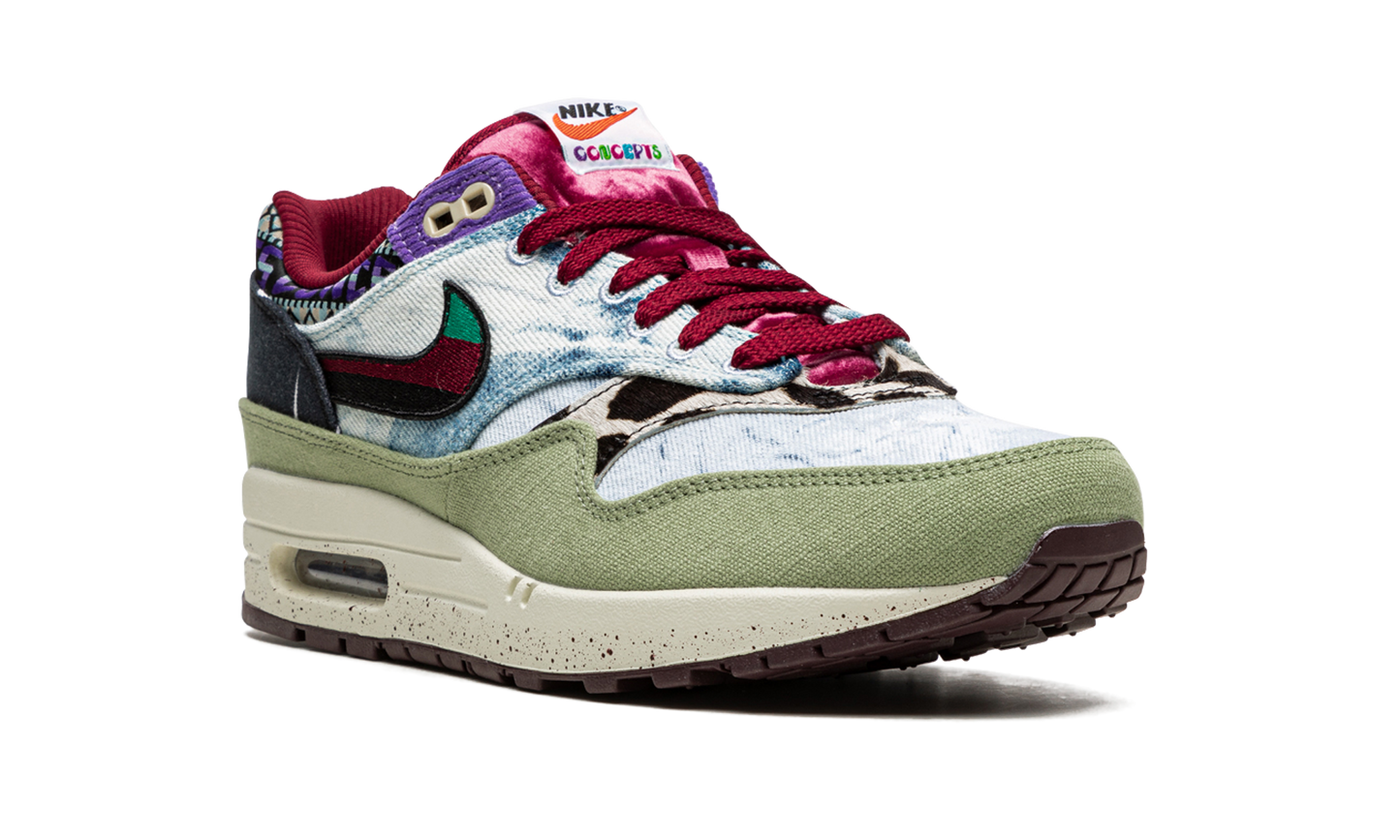 Nike Air Max 1 SP Concepts Mellow