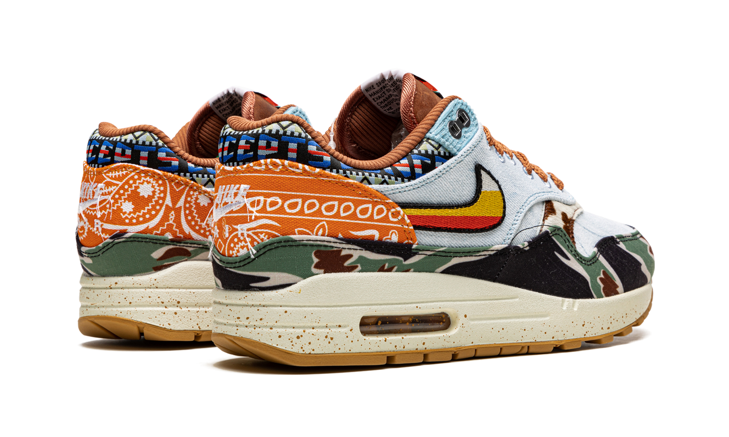 Nike Air Max 1 SP Concepts Heavy