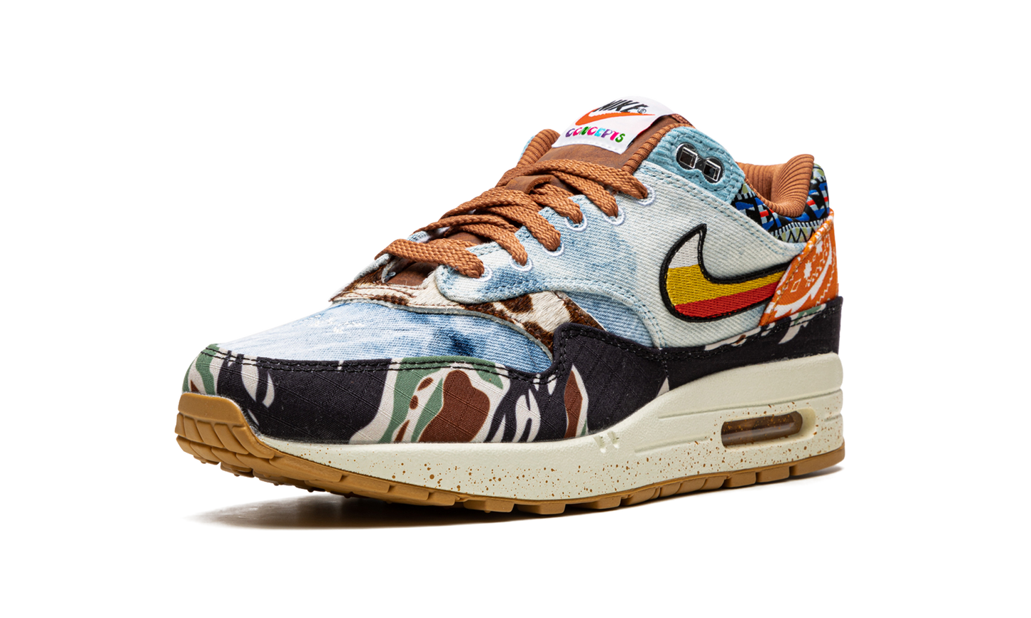 Nike Air Max 1 SP Concepts Heavy