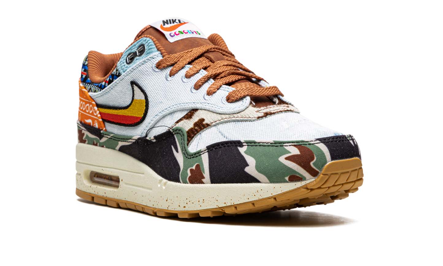 Nike Air Max 1 SP Concepts Heavy