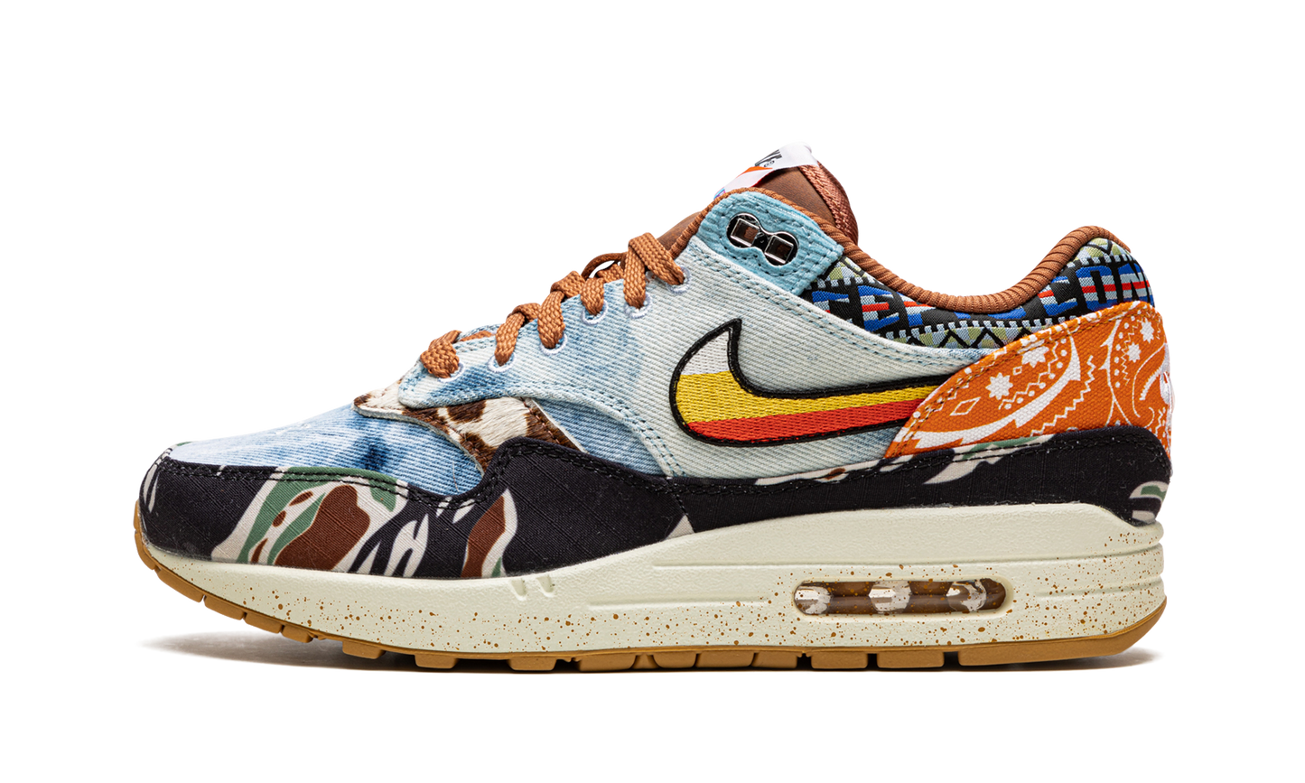 Nike Air Max 1 SP Concepts Heavy