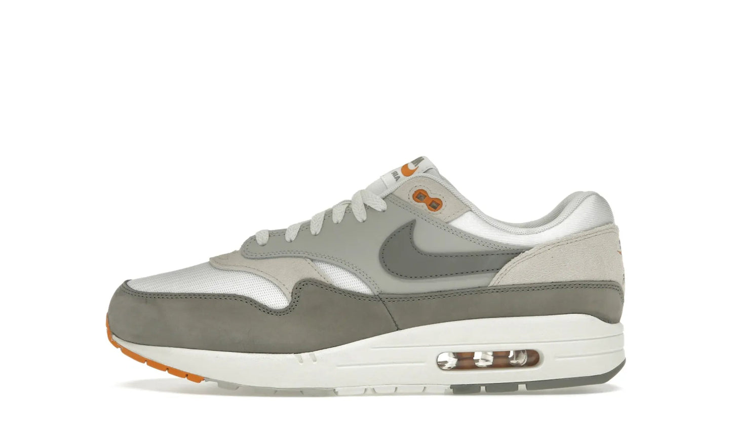 Nike Air Max 1 Light Iron Ore Flat Pewter