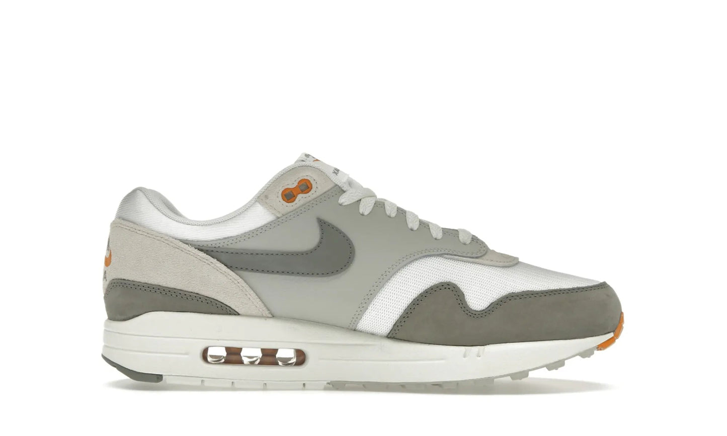 Nike Air Max 1 Light Iron Ore Flat Pewter