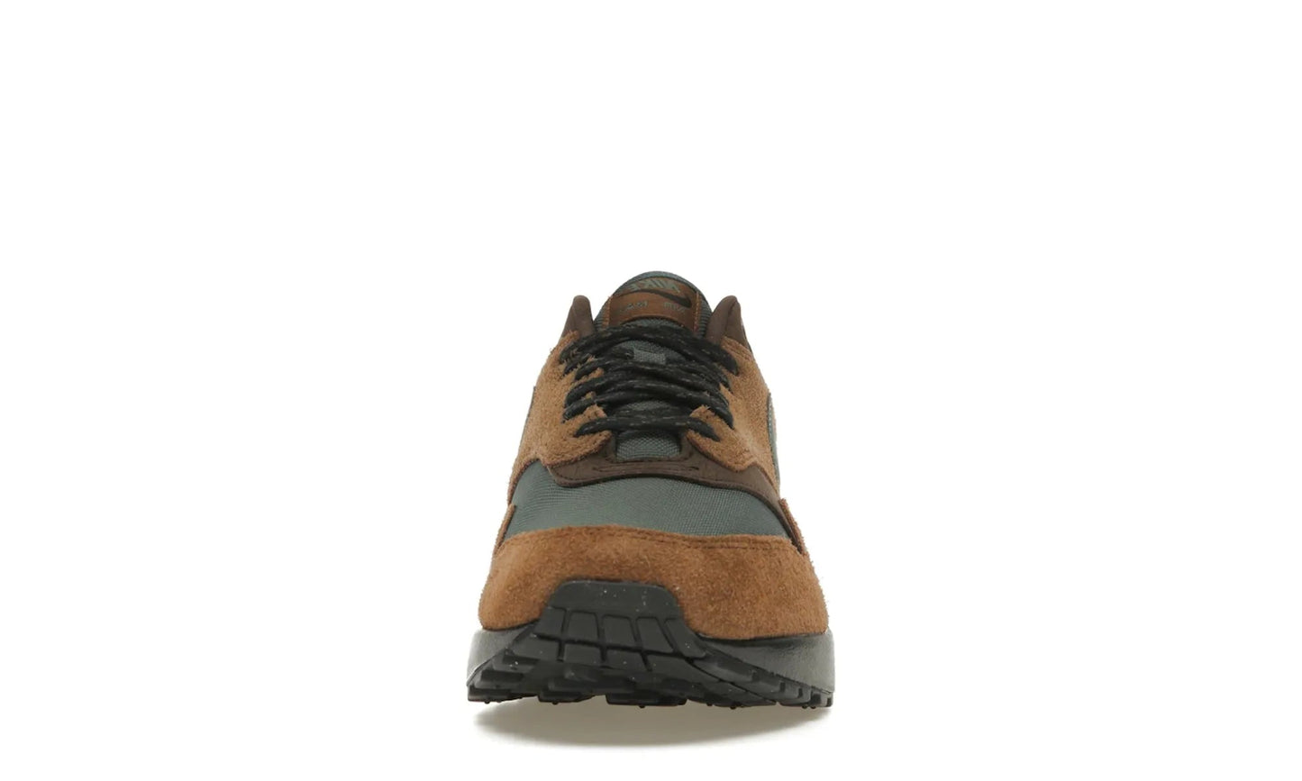 Nike Air Max 1 Beef and Broccoli