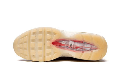Nike Air Max 95 Anatomy of Air