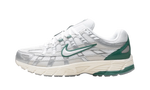 Nike P-6000 Premium Bicoastal Green