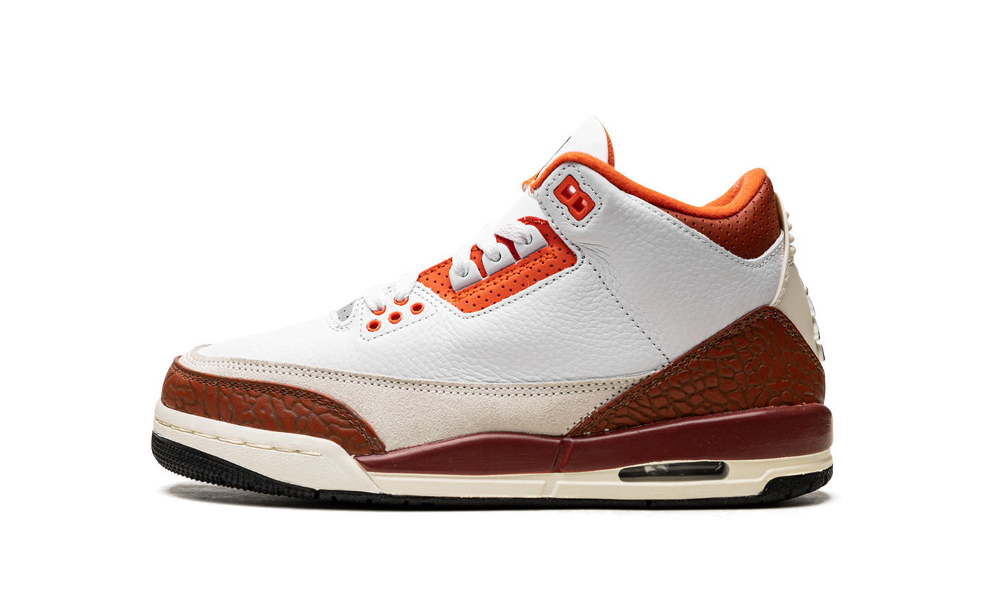 Air Jordan 3 Retro SE Dunk on Mars