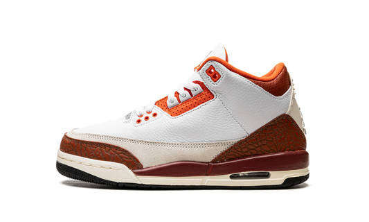 Air Jordan 3 Retro SE Dunk on Mars