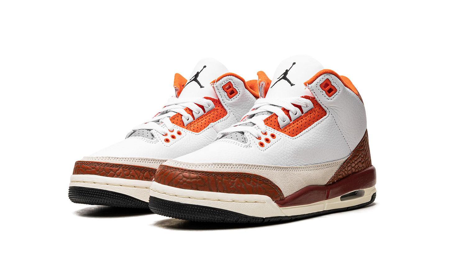 Air Jordan 3 Retro SE Dunk on Mars