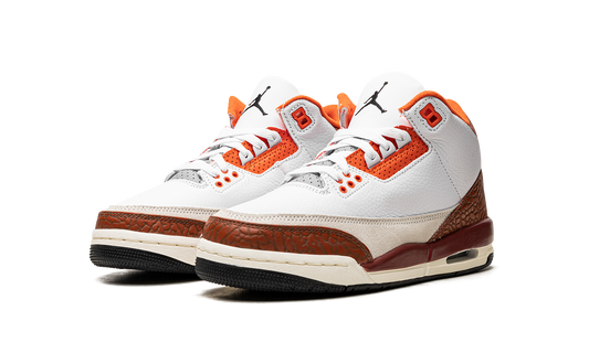 Air Jordan 3 Retro SE Dunk on Mars
