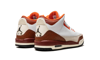 Air Jordan 3 Retro SE Dunk on Mars