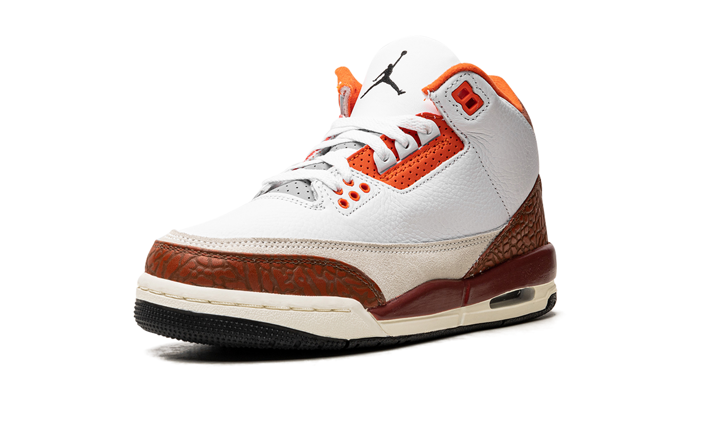 Air Jordan 3 Retro SE Dunk on Mars