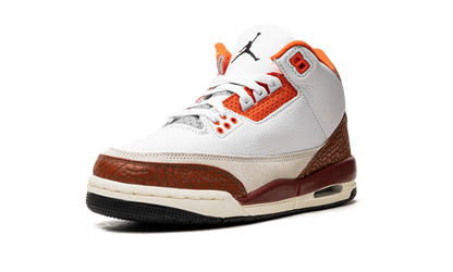 Air Jordan 3 Retro SE Dunk on Mars