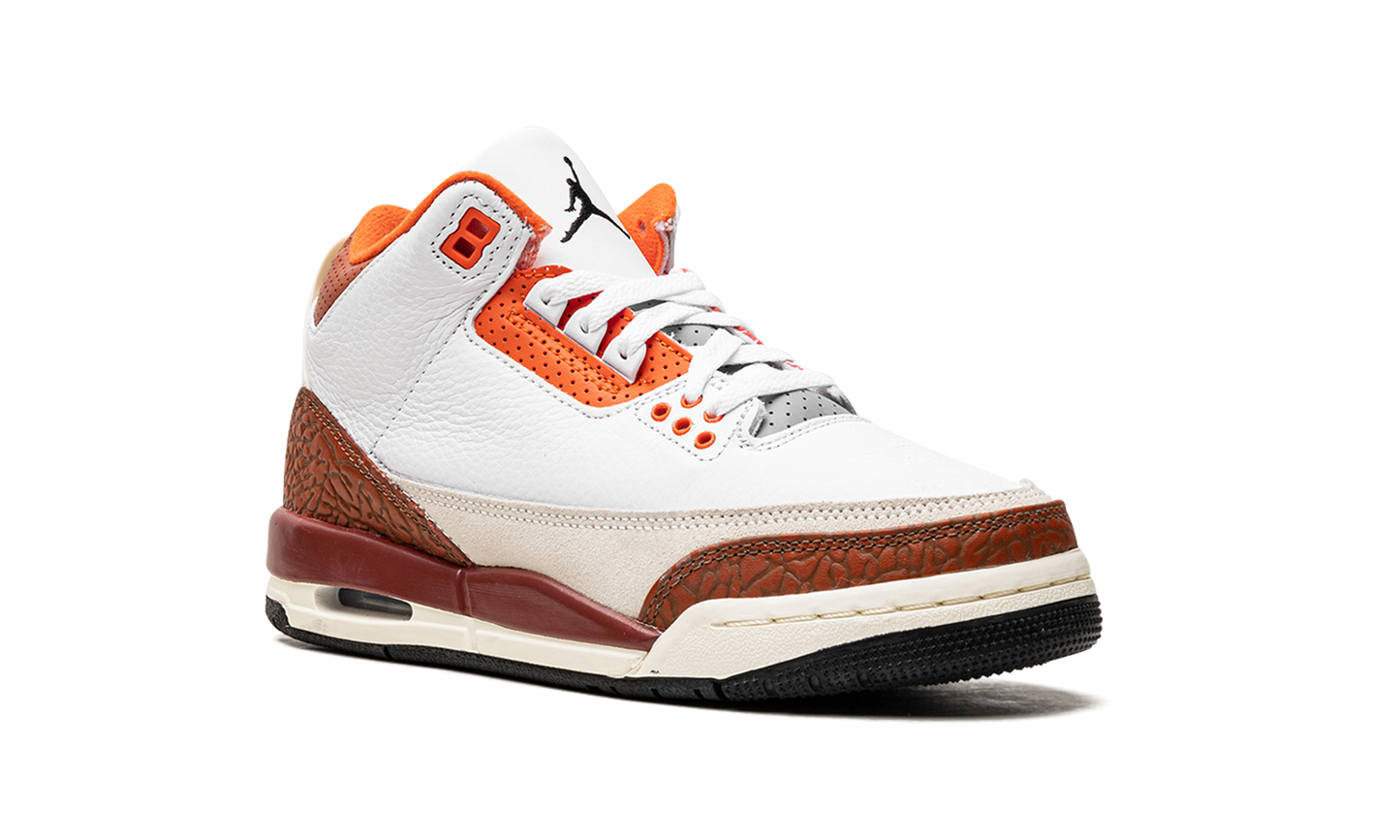 Air Jordan 3 Retro SE Dunk on Mars