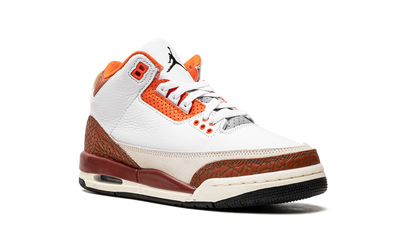 Air Jordan 3 Retro SE Dunk on Mars