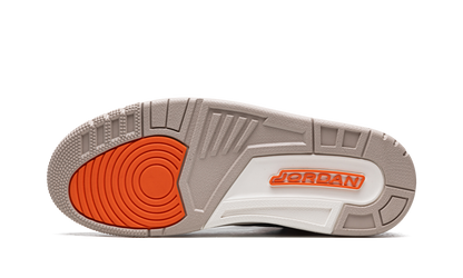 Air Jordan 3 Retro Desert Elephant