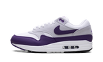 Nike Air Max 1 SC Field Purple