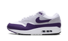 Nike Air Max 1 SC Field Purple