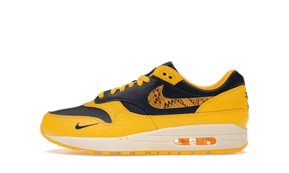 Nike Air Max 1 CO.JP Michigan Head to Head