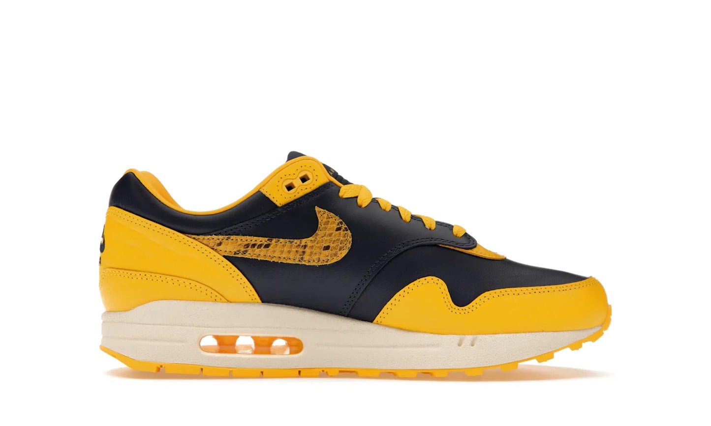 Nike Air Max 1 CO.JP Michigan Head to Head