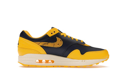 Nike Air Max 1 CO.JP Michigan Head to Head
