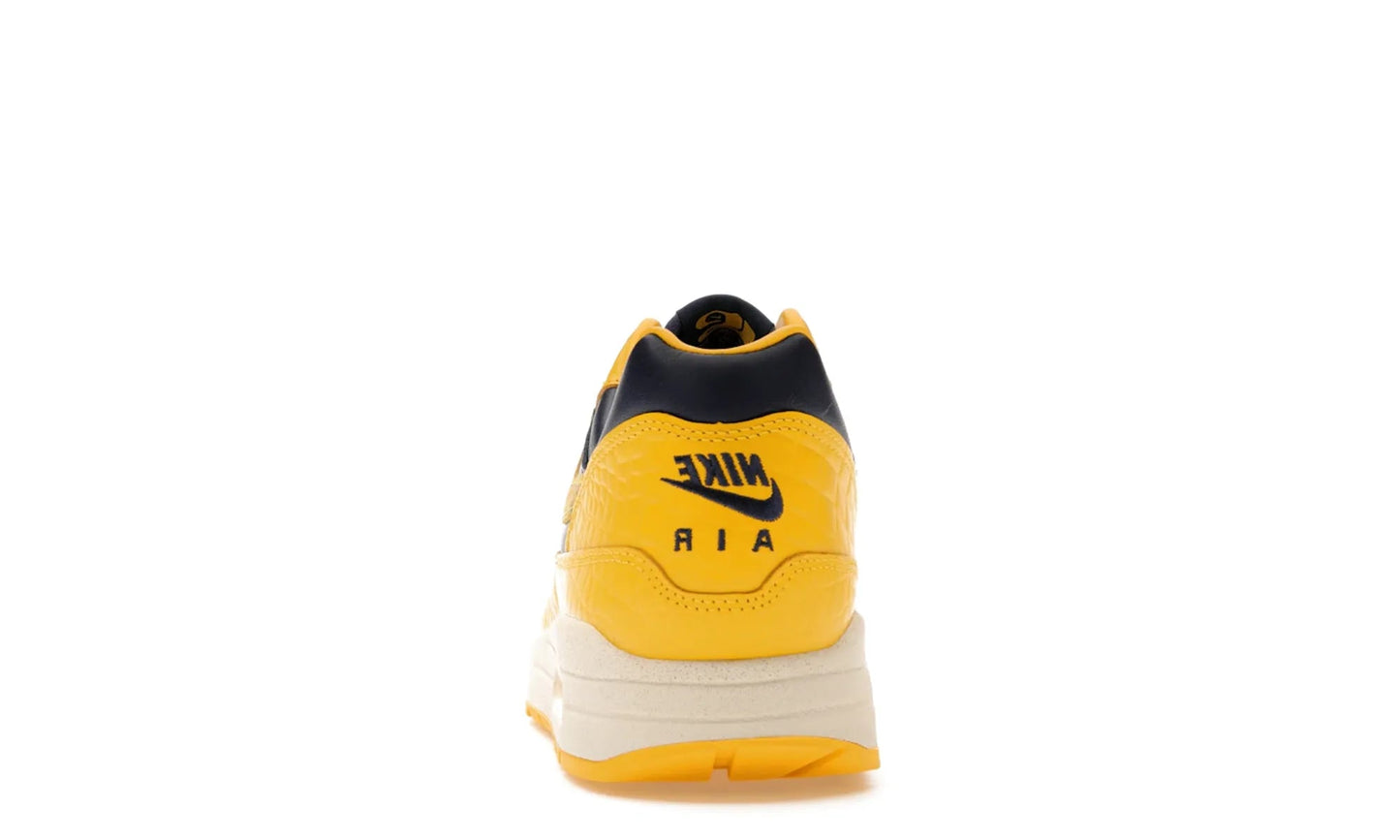 Nike Air Max 1 CO.JP Michigan Head to Head