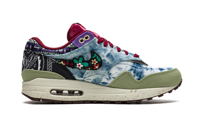 Nike Air Max 1 SP Concepts Mellow