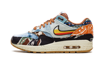 Nike Air Max 1 SP Concepts Heavy
