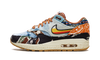 Nike Air Max 1 SP Concepts Heavy