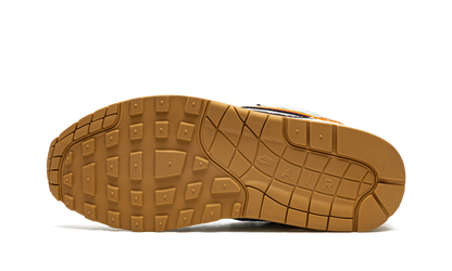Nike Air Max 1 SP Concepts Heavy