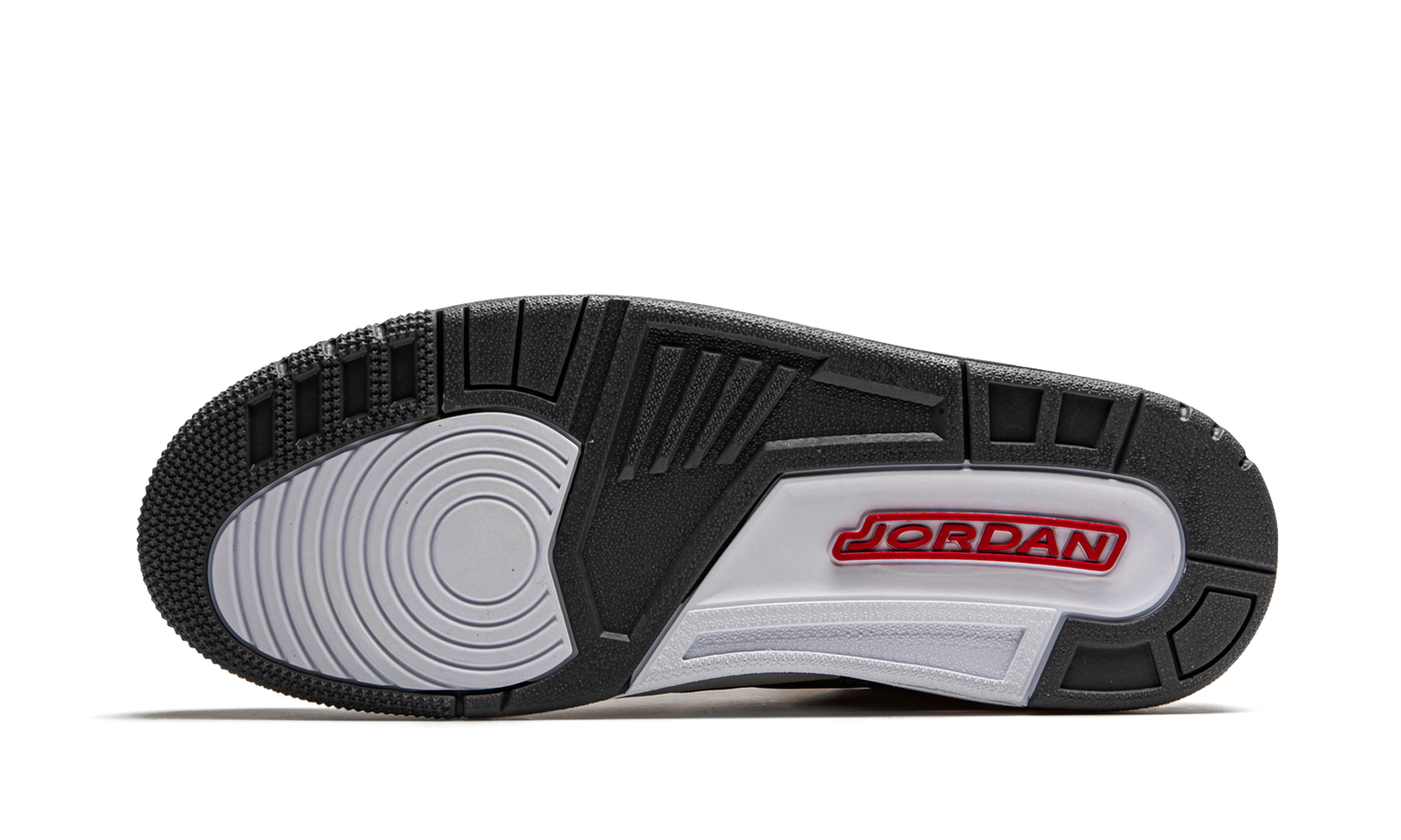 Air Jordan 3 Retro Cool Grey (2021)