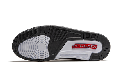 Air Jordan 3 Retro Cool Grey (2021)