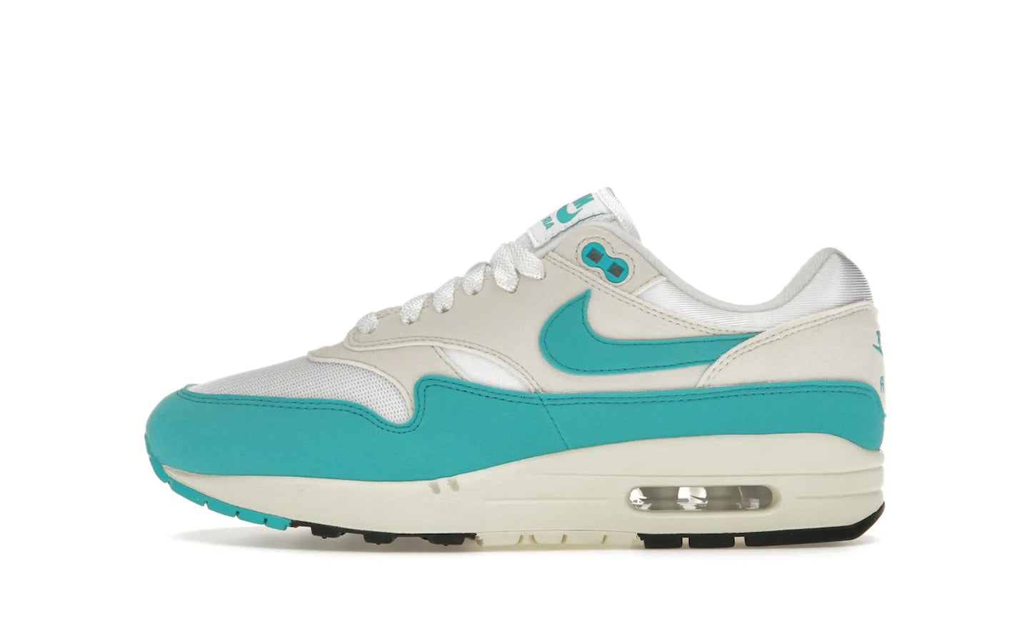 Nike Air Max 1 Dusty Cactus