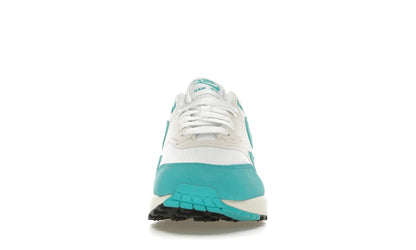 Nike Air Max 1 Dusty Cactus