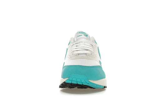 Nike Air Max 1 Dusty Cactus
