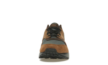 Nike Air Max 1 Beef and Broccoli