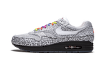 Nike Air Max 1 Tokyo Maze